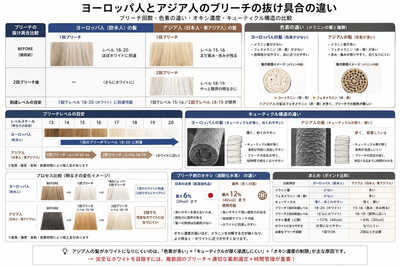 ブリーチ比較図